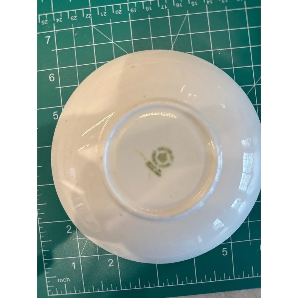 Salisbury‎ Crown China England Teacup and Saucer